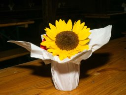 2025 Album &raquo; BundesFeier25