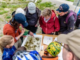 EinweihungHochwasser