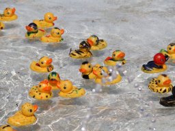 Entenrennen17