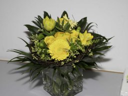 2024 Album &raquo; GV24