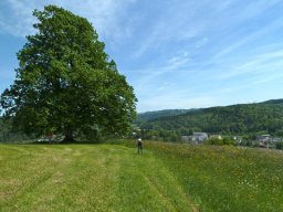 HegiWanderung12