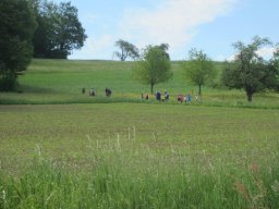 2015 Album &raquo; HegiWanderung15