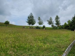 56. Hegi Wanderung25