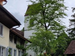 56. Hegi Wanderung25