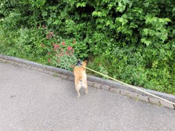 56. Hegi Wanderung25