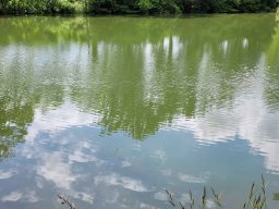 56. Hegi Wanderung25