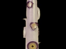 2024 Album &raquo; Kerzenziehen24