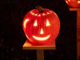 kürbisLeuchten20