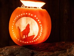 kürbisLeuchten20