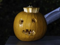 2023 Album &raquo; KuerbisLeuchten23