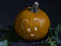 KürbisLeuchten23
