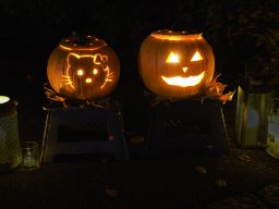 KürbisLeuchten24