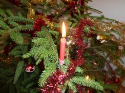 SeniorenWeihnachten14