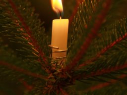 SeniorenWeihnachten15