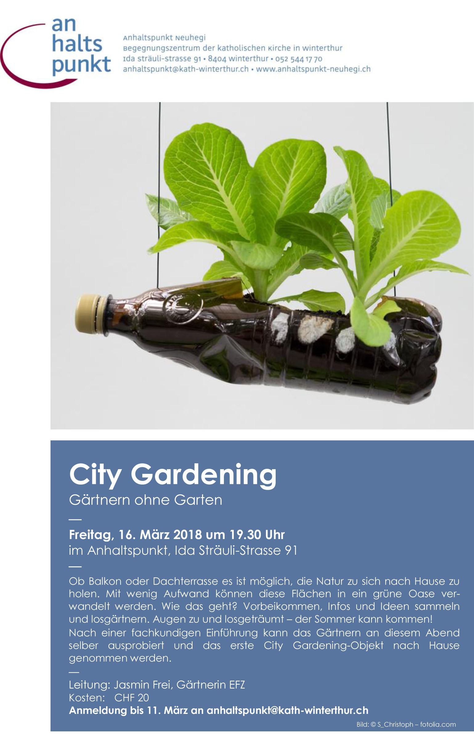 ahp City Gardening 18