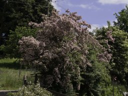 HegiWanderung22
