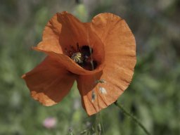 HegiWanderung22
